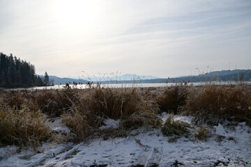 winter landscape with snow