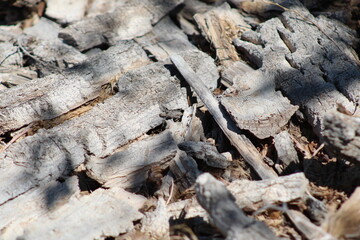 old pile of wood bark