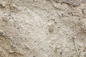 The surface of the gray-beige sandy rock. Background. Space for text.