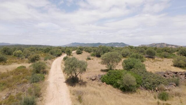4K aerial drone footage of a path surrounded by trees in rural countryside in Sardinia, Italy