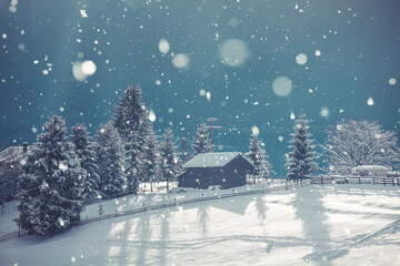 Winter in the mountains