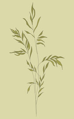 Obraz premium A branch of grass. Black silhouette of a plant on a white background. Grass.