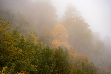 Mountain range with visible silhouettes through the morning colorful fog.