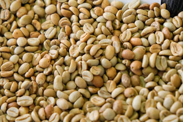 ITA-FAIR-FOOD-GUSTUS