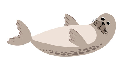 Seal. Illustration on a white background.