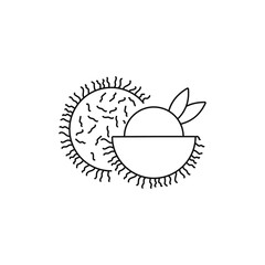 Rambutan icon, linear isolated illustration, thin line