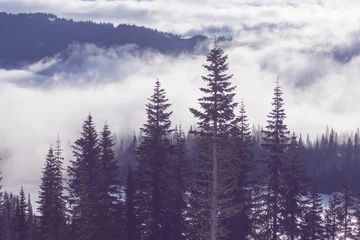 Tissu par mètre Forêt dans le brouillard Fog in the mountains