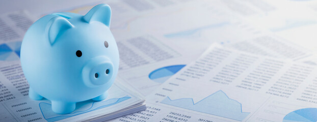 Moneybox for money on the background of documents and financial charts. Investment and capital...
