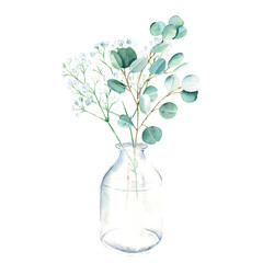 Eucalyptus and gypsophila branches in vase, bottle, jar. Watercolor hand drawn botanical illustration isolated on white background. Eco minimalistic style for greeting card, poster.