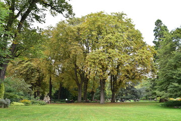 Jardin du Luxembourg en automne à Paris. France