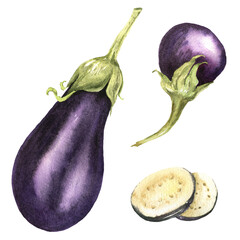 Set of aubergines watercolor illustrated isolated on White. healthy food ingredients purple vegetables.