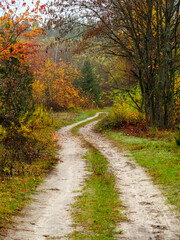 Winding dirt road through the autumn park