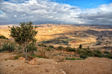 The place where Moses was granted a view of the Promised Land.