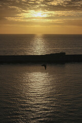 Beautiful horizon sunrise sunset dusk dawn twilight blue hour over ocean sea with sea gulls nature seascape scenery