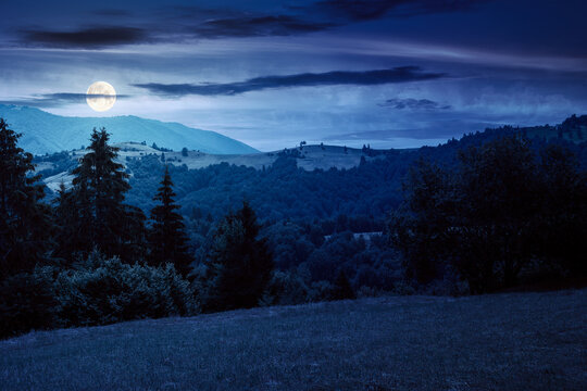 forest on the grassy meadow at night. green summer landscape in mountains. scenery with clouds above the distant ridge in full moon light