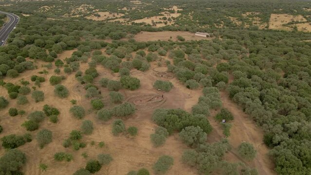 Drone view of the Sanctuary of Santa Cristina in Oristano, Sardinia