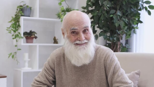 Positive senior man with long grey beard winks looking in camera and smiling. Portrait of cheerful pensioner in brown sweater sitting in armchair against green pot-plant in living room closeup
