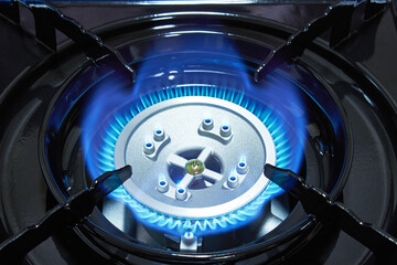 Gas cooker with burning fire propane gas