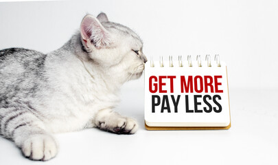 get more pay less Text on notebook with grey cat