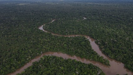 Small river tributary of the great Amazon River and the rain tropical forest - floodplains, in...
