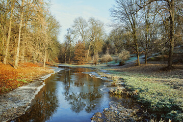 beautiful forest landscape in late autumn, winter