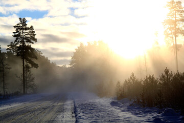 Obraz na płótnie Canvas Forest road in the sun lightening through the fog. Selective focus