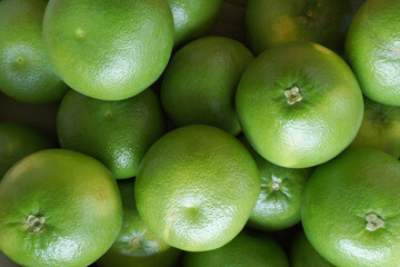 Citrus Sweetie in the market. Background or food texture of green citrus fruits.