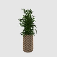 3D illustration of Plant and flower pot vase
