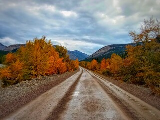Fototapeta premium Autumn Mountain Roads