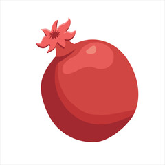 Pomegranate fruit. Vector illustration isolated on white background.