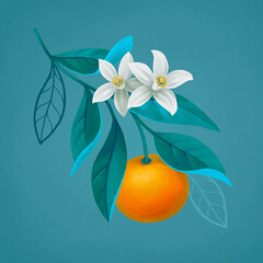 Hand painted illustration of orange tree branch. Perfect for posters, greeting cards, stationery and other goods
