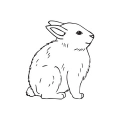 Vector hand drawn doodle sketch bunny rabbit isolated on white background