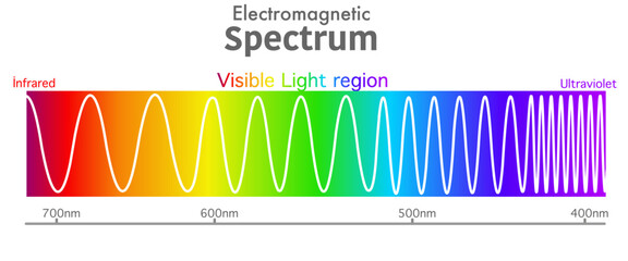 Visible electromagnetic spectrum diagram. Ultraviolet to infrared radiation. Wavelength range. Red, orange, yellow, green, blue, purple, violet color light, rainbow. Ultra violet to infra red. Vector - obrazy, fototapety, plakaty