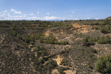 Fototapeta na wymiar pine forest on a mountain in southern Spain