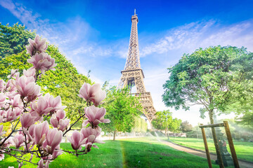 Fototapeta premium eiffel tour and Paris cityscape