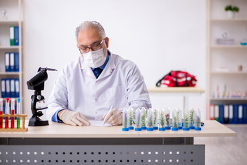 Old male chemist in drugs synthesis concept