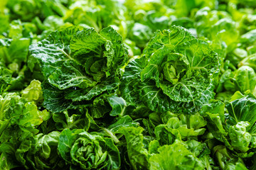Fresh brussels sprout buds and green leaves close up. Harvest of brussels sprout cabbage