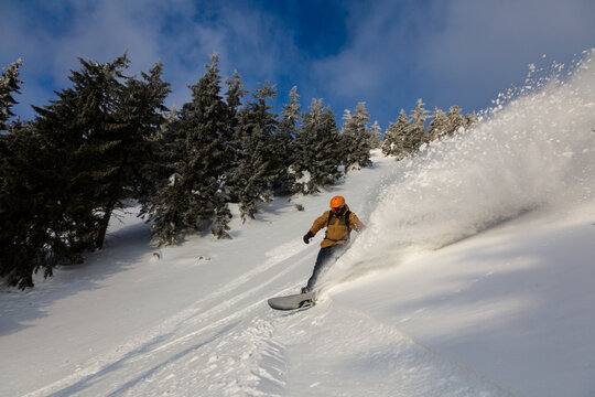 An active snowboarder rides among snow-covered spruces leaving a wave of snow behind