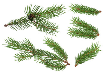 
Fir branch, set. christmas tree,  isolated on transparent background png. Christmas green spruce...
