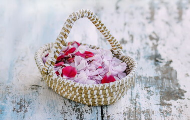 Pink rose petals in a basket on green grass.Natural cosmetic or herbal tea ingredients.