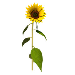 Front view of Plant (Sunflower 2) Tree png