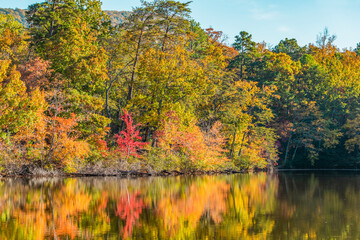 autumn landscape with lake