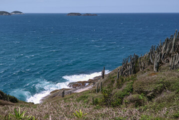 Vista de parte da linda praia das Conchas, muita vegetação rasteira, um lindo mar azul em volta, muitas rochas, céu azul e montanhas ao fundo.