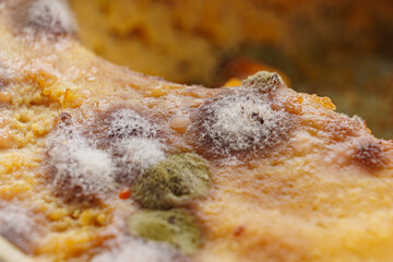 close up. multi-colored mold on canned food. spoiled products. 