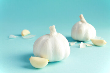 Obraz na płótnie Canvas Fresh white unpeeled head bulb of garlic and garlic cloves peel on blue color background. Vegan, organic, vitamins. Natural antibiotic, antioxidant, Allicin. 