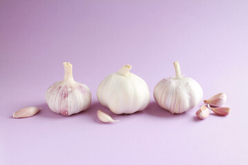 Fresh white unpeeled head bulb of garlic and garlic cloves on lilac, violet, purple color background. Vegan, organic, vitamins. Natural antibiotic, antioxidant, Allicin. 