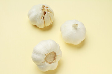 Fresh white unpeeled head bulb of garlic on yellow color background. Vegan, organic, vitamins. Natural antibiotic, antioxidant, Allicin. 