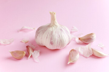 Fresh white unpeeled head bulb of garlic and garlic cloves peel on pink color background. Vegan, organic, vitamins. Natural antibiotic, antioxidant, Allicin. 