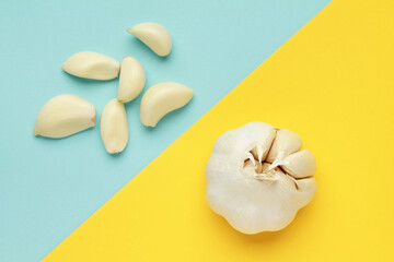 Fresh white unpeeled head bulb of garlic and garlic cloves on blue yellow color background. Vegan, organic, vitamins. Natural antibiotic, antioxidant, Allicin. Top view. Flat lay