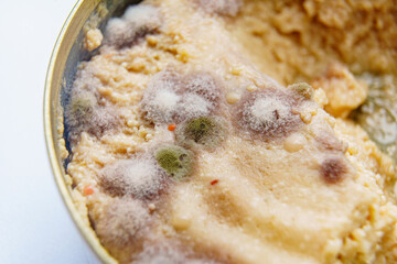 close up. multi-colored mold on canned food. spoiled products. 